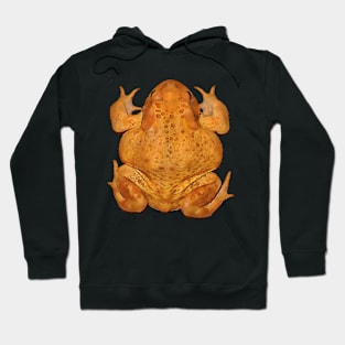 Anatomy of A Toad Black Outline Art Hoodie